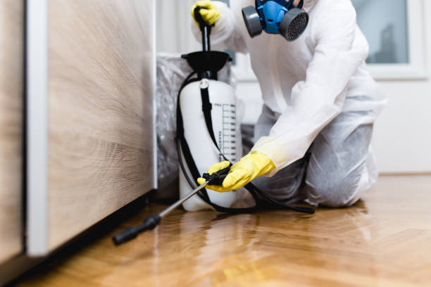 Best Residential Pest Control  in Mascotte, FL