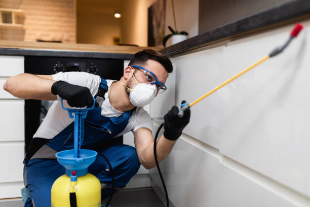 Best Affordable Pest Control Services  in Mascotte, FL