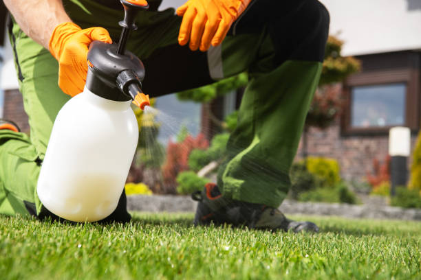 Best Commercial Pest Control Services  in Mascotte, FL