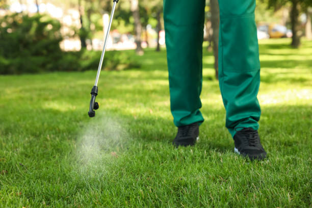 Best Rat Extermination Near Me  in Mascotte, FL