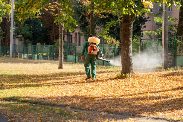 Best Best Pest Control Companies  in Mascotte, FL