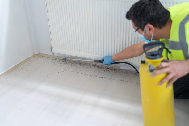 Best Pest Control for Homes  in Mascotte, FL