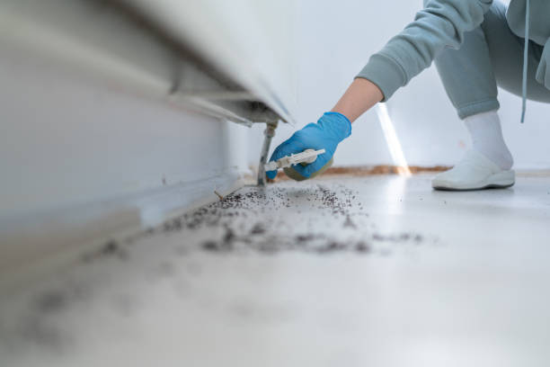 Best Pest Removal Services  in Mascotte, FL