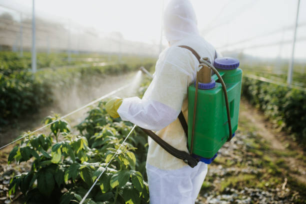 Best Emergency Pest Control  in Mascotte, FL